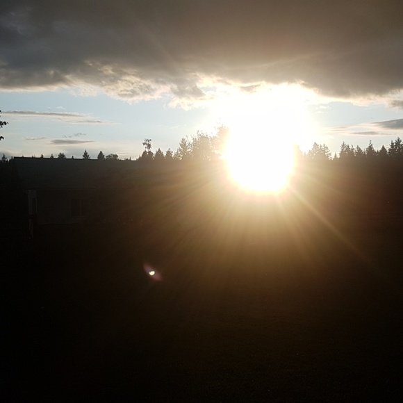 Meet your Posher, Jodi - Picture 1 of 1